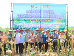 Polres Ngawi Panen Raya Jagung Untuk Ketahanan Pangan