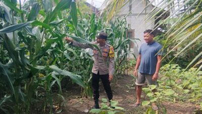 Bhabinkamtibmas Desa Pangkur Laksanakan Patroli P2B, Dukung Program Ketahanan Pangan