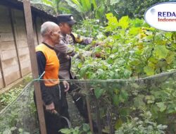 Dukung Swasembada Pangan, Bhabinkamtibmas Krompol Bringin Laksanakan Patroli Ketahanan Pangan