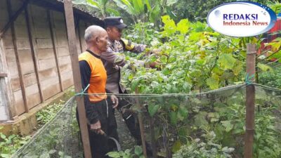 Dukung Swasembada Pangan, Bhabinkamtibmas Krompol Bringin Laksanakan Patroli Ketahanan Pangan