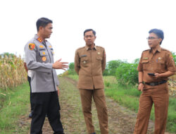 Dukung Ketahanan Pangan, Kapolres Ngawi Cek Lahan Jagung Siap Panen