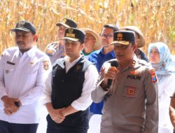 Dukung Swasembada Pangan, Kapolda Bersama Forkopimda Jatim Panen Raya Jagung Kuartal II di Ngawi