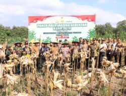 Polres Madiun gelar Panen Raya Jagung Serentak Kuartal II Virtual bersama Presiden RI di wilayah Pajaran Saradan Madiun