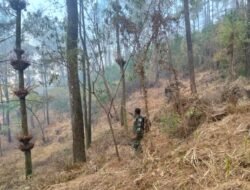 Kebakaran Hutan Pinus di Kendal Ngawi, 9 HA Lahan Terbakar, Babinsa, relawan, dan Masyarakat putus jangkauan Api